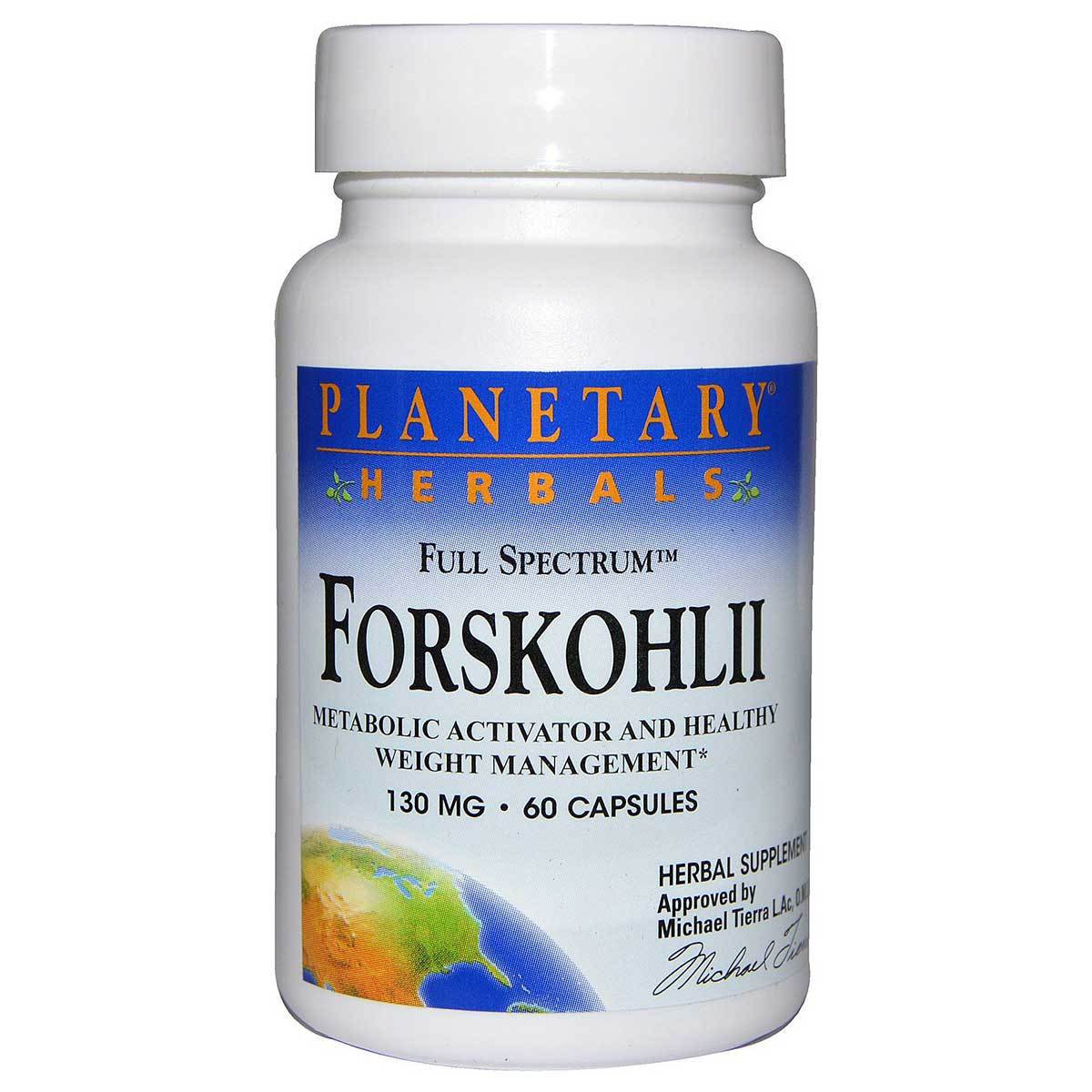 Planetary Herbals Full Spectrum Forskohlii 130mg (20% forskohlin) 60 Capsules Diet/Energy Planetary Herbals (1059049275435)