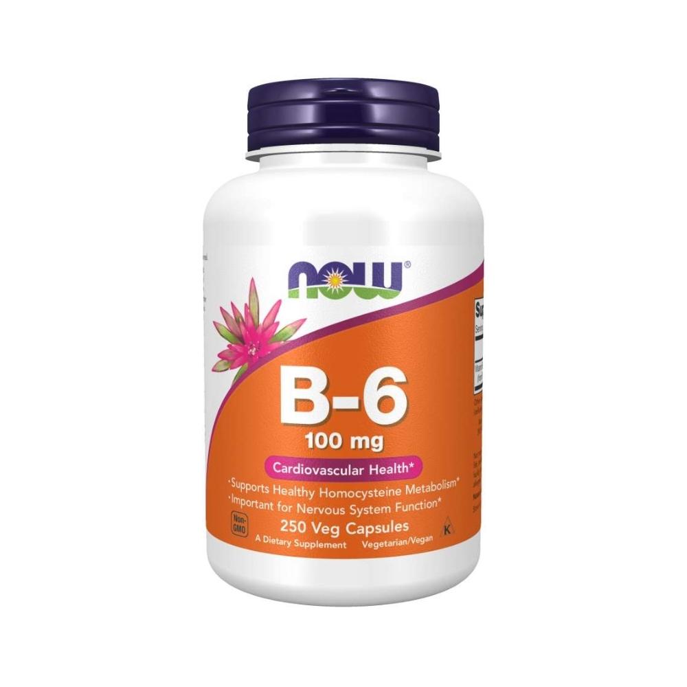 Now Foods B-6 100 Mg 250 Capsules Vitamins Now Foods