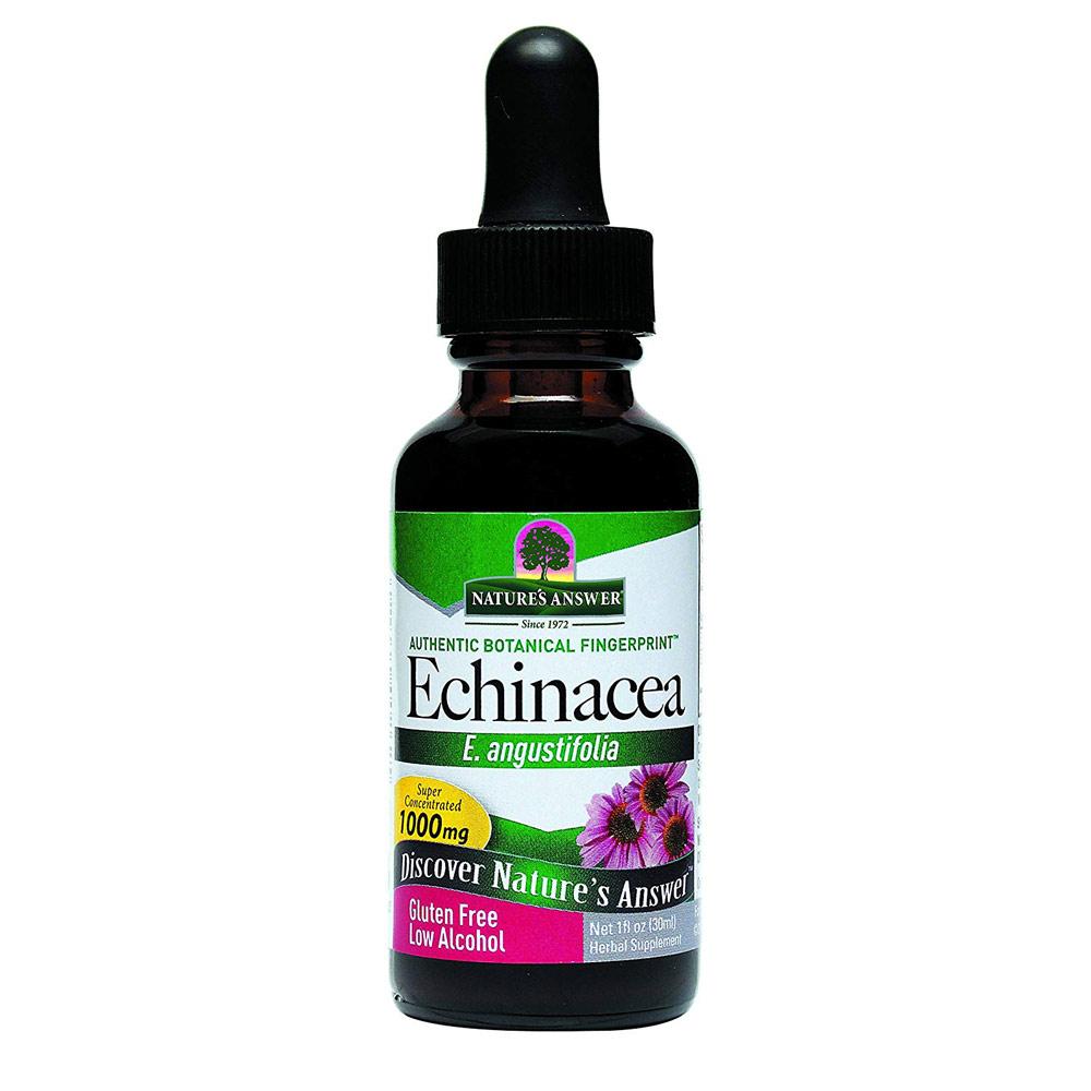 Nature's Answer Echinacea 1oz | Immune Health Herbs Nature's Answer (1782425190443)