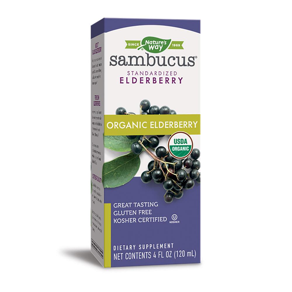 Nature's Way Sambucus Original Syrup Black Elderberry 4 fl oz Foods & Snacks Nature's Way (1059030499371)