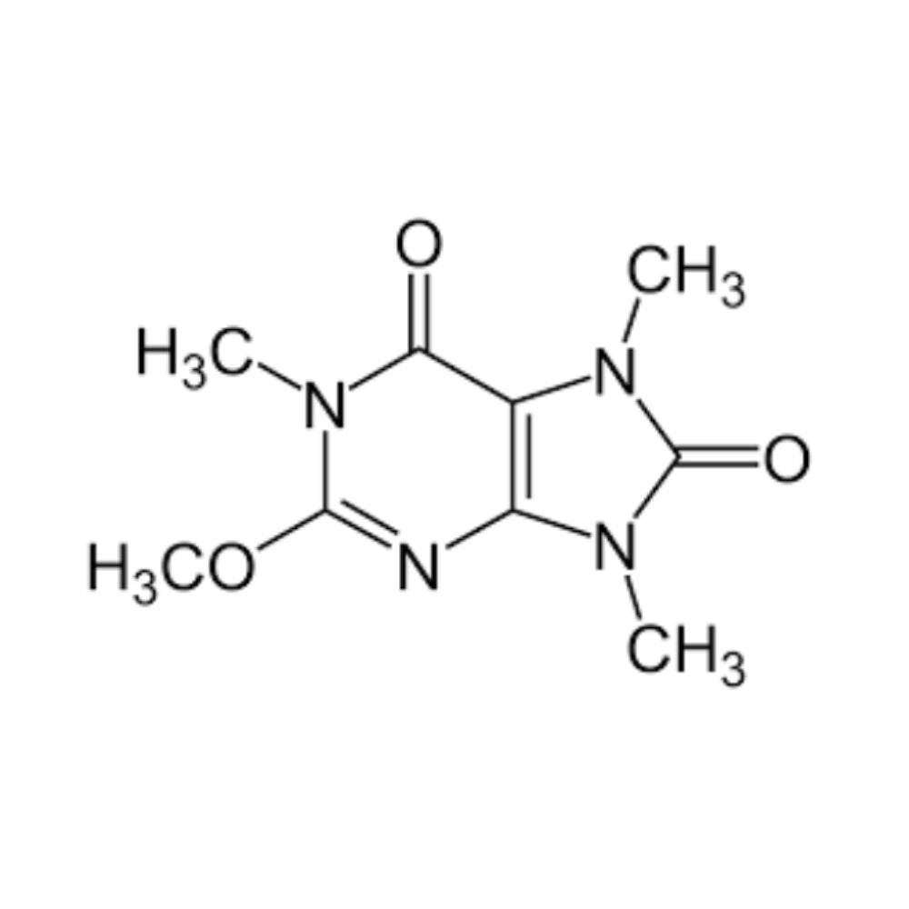 All You Need To Know About Dynamine