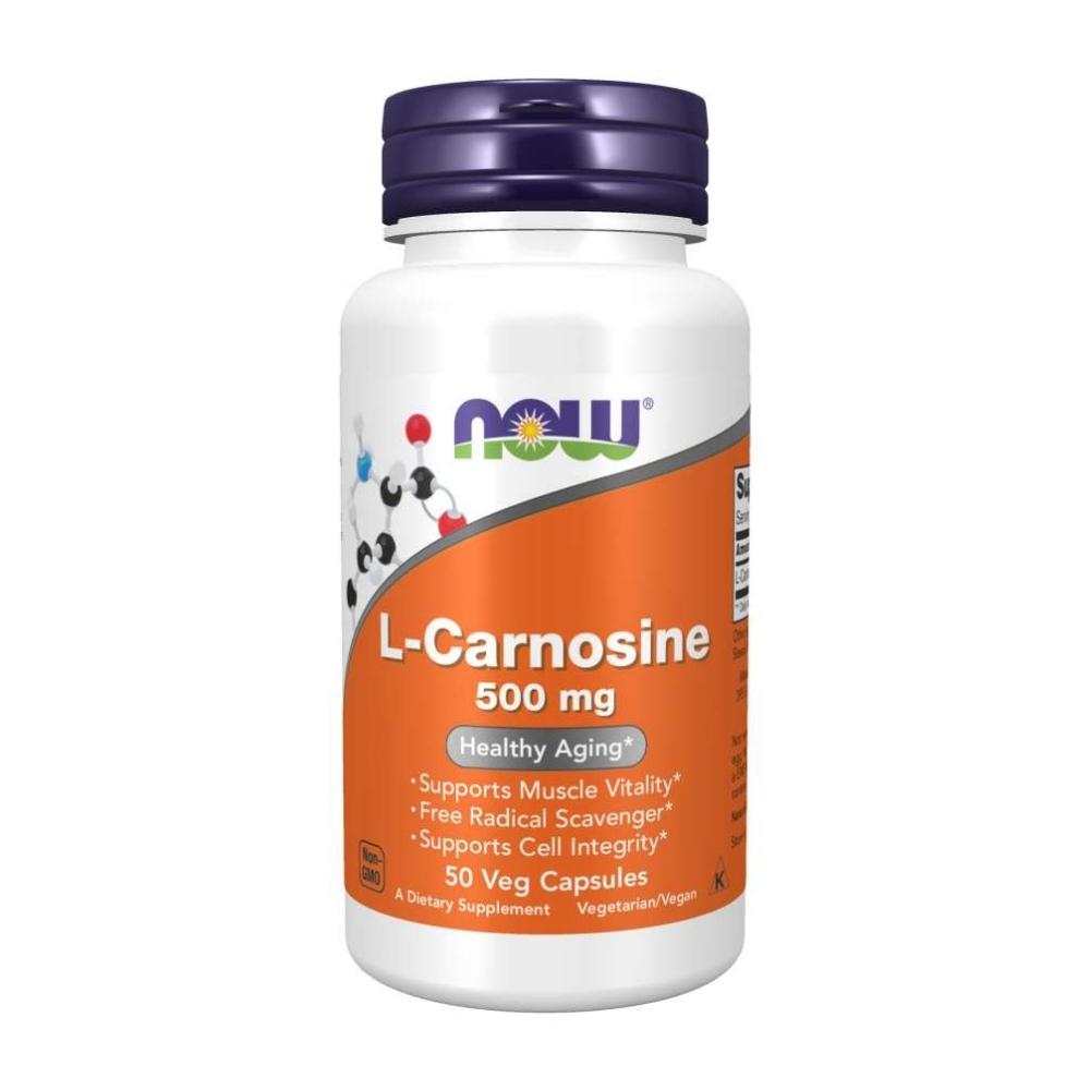 Now Foods Carnosine 500 Mg 50 Vegetable Capsules Amino Acids Now Foods 