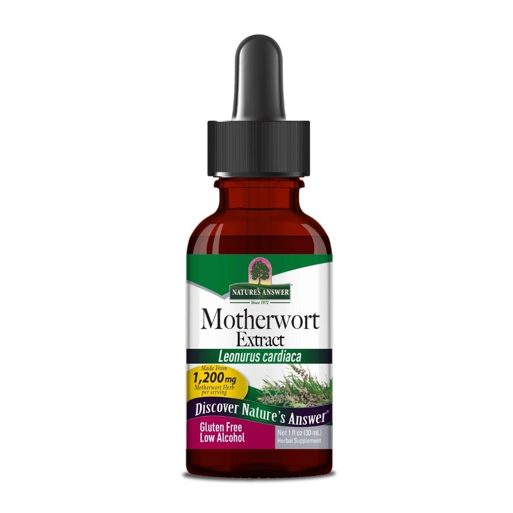 Nature's Answer Motherwort 1 OZ Herbs Nature's Answer 