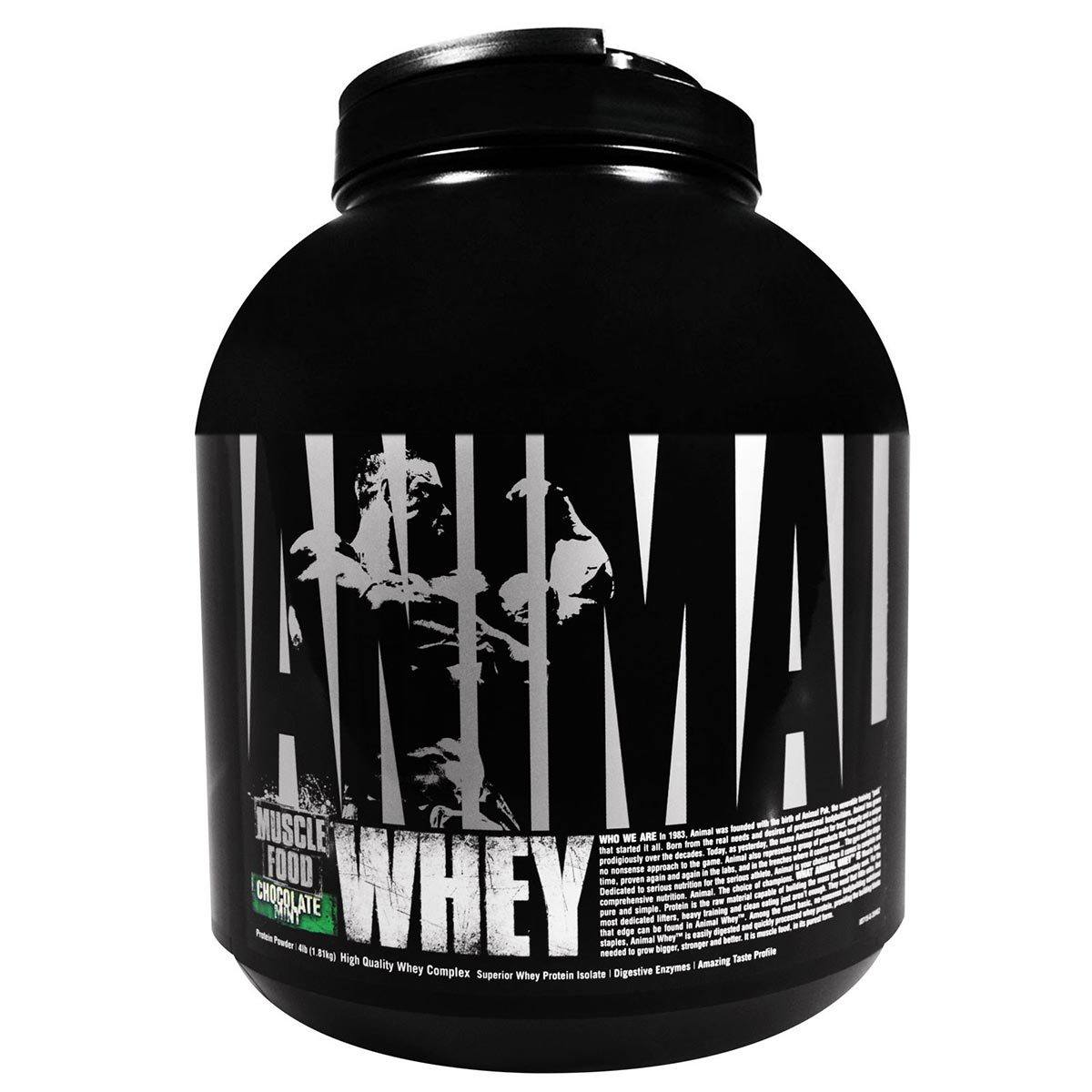 Universal Animal Whey 4lbs Protein Universal Chocolate Mint  (1059331997739)