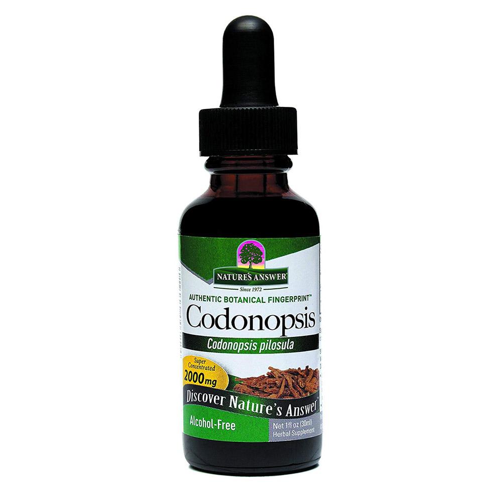 Nature's Answer Coidonopsis 3000mg 1oz | Immune Health Herbs Nature's Answer  (1782420144171)