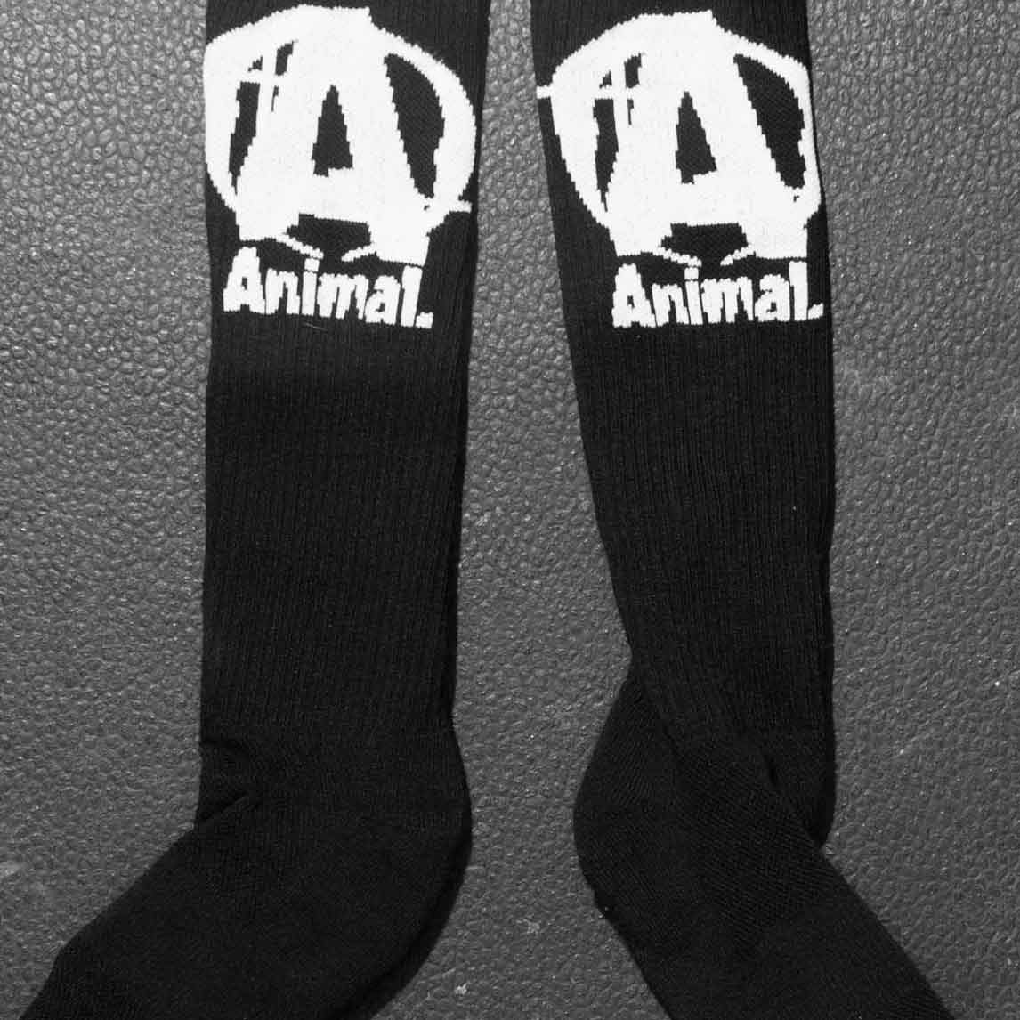 Animal Socks Fitness Accessories and Apparel Universal  (1528204689451)