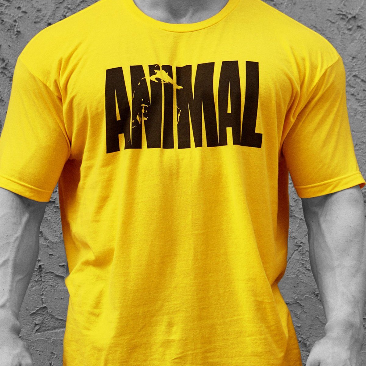 Universal Animal Iconic Tee Yellow X-Large Fitness Accessories and Apparel Universal  (1058211495979)